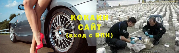 jwh Алзамай