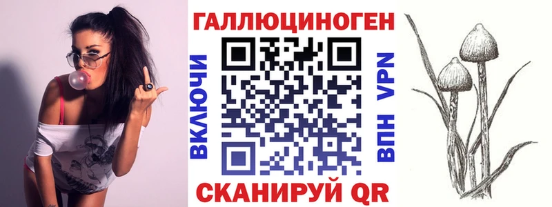 shop формула  Вилючинск  Псилоцибиновые грибы прущие грибы 